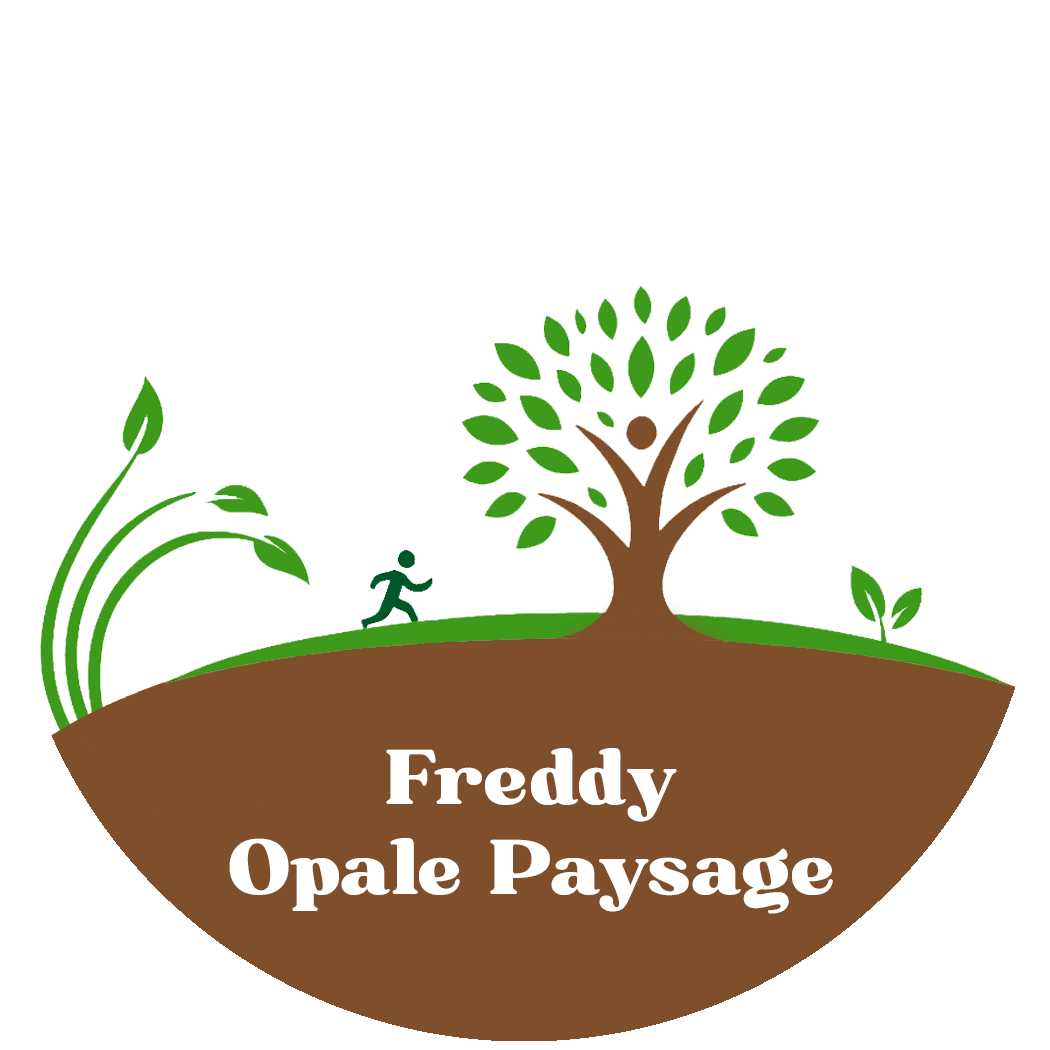 Freddy Opale Paysage